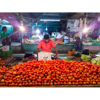 Tomato (5)-2419704-56631.webp